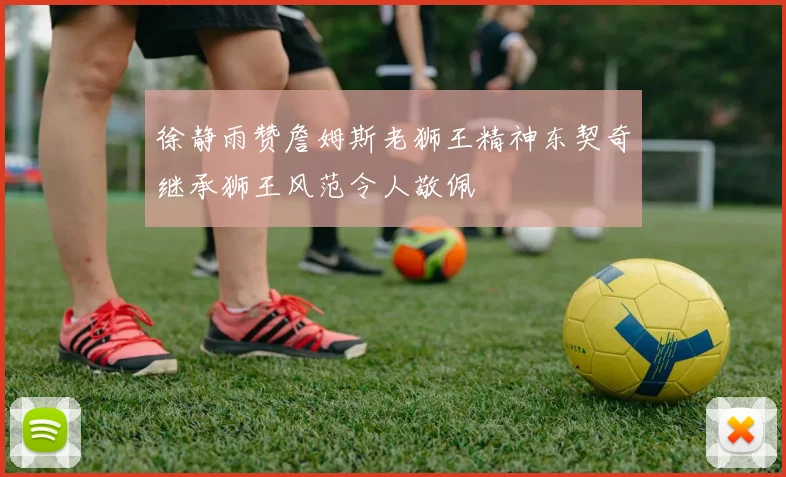 徐静雨赞詹姆斯老狮王精神东契奇继承狮王风范令人敬佩