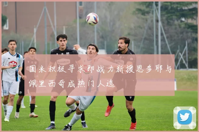 国米积极寻求即战力新援恩多耶与佩里西奇成热门人选