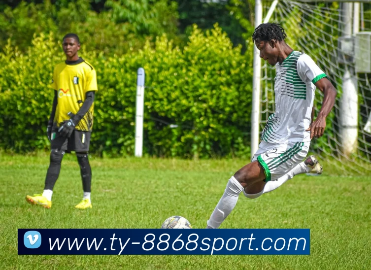 8868体育发展历程